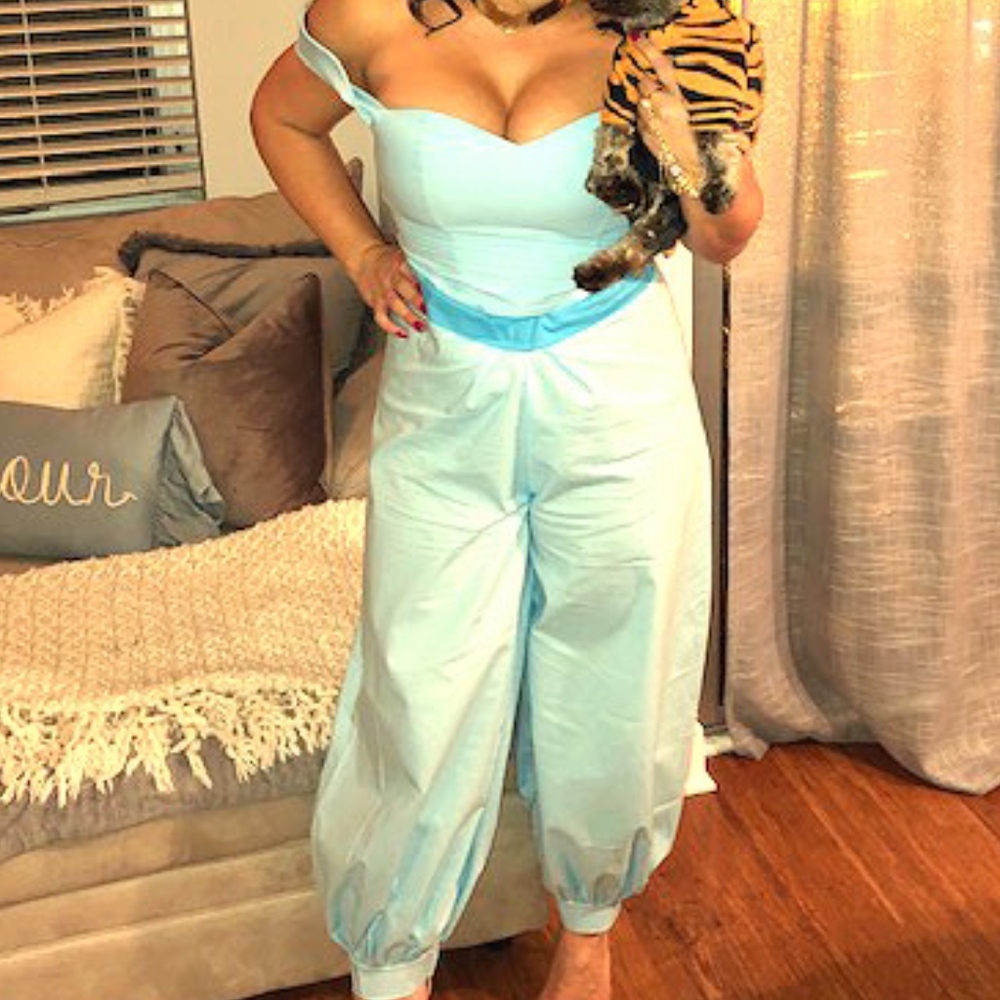 Princess Jasmine Halloween Costume